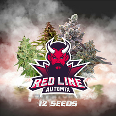 Mix Autofloreciente Red Line X 12 BSF - comprar online