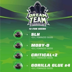 Mix Feminizadas Dream Team X 4 BSF - comprar online