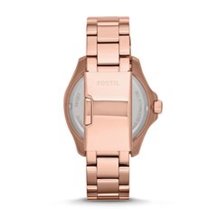 Reloj Fossil AM4511 Dama Cecile - comprar online