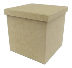 Caixa Lisa 15x15x15cm Tampa 16x16cm