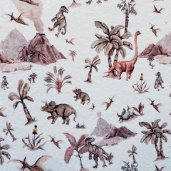 Manta Polar Soft Dinosaurios
