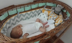 Kit para Moisés Modelo Elefantes Chichonera + Almohadones en internet