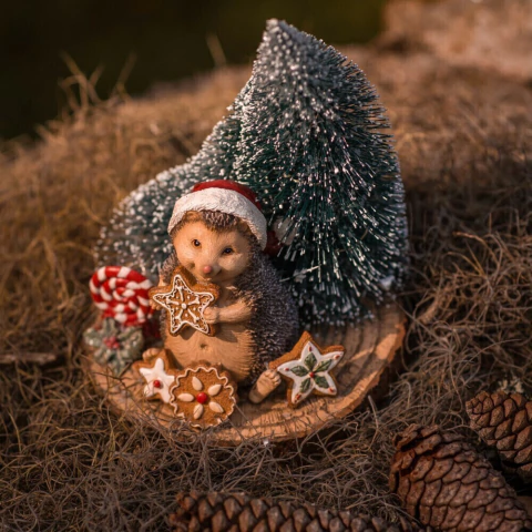 Ouriço Andy Confeiteiro Floresta Encantada - comprar online