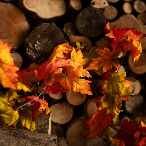 Festão Folhas Laranjas - comprar online