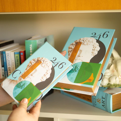 Livros-Caixa Decorativos História G - comprar online