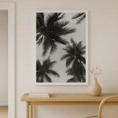 Cuadro Foto BYN Palmeras (IND-1148) en internet