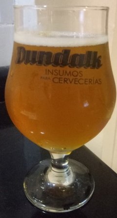 Kit Cerveza APA 20 litros - comprar online