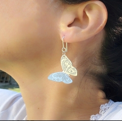 Aros Mariposa