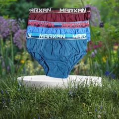 Kit 3 Cuecas Slip Juvenil Algodão Marxan - loja online