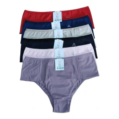 Kit 6 Calcinhas Microfibra Comforto Plus Size GG1-GG2 be.my - comprar online