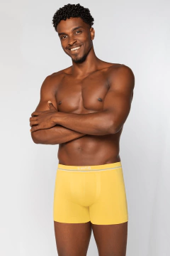 Cueca Boxer Lupo Microfibra Sem Costuras Adulto - loja online