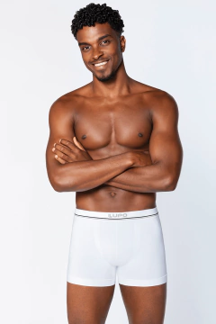 Cueca Boxer Lupo Microfibra Sem Costuras Adulto - comprar online