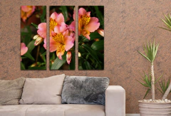 Flores 24 60x50cm
