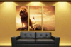 Animales 48 90x60cm