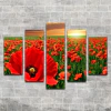Cuadro Poliptico Amapolas 3