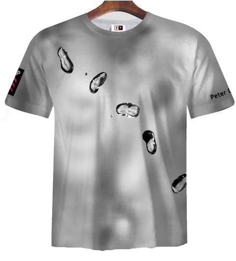 Remera ZT-0044 B - Peter Gabriel UP 2