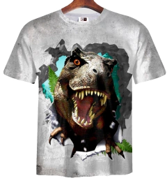 Remera ZT-0784 - Dinosaurios 1
