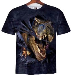 Remera ZT-0786 - Dinosaurios 3