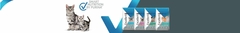 Banner de la categoría Excellent