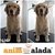 Cliente 109 - LULI - comprar online