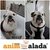 Cliente 108 - WILLY - comprar online