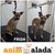 Cliente 124 - FRIDA - comprar online
