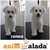 Cliente 009 - TOMAS - comprar online