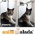 Cliente 100 - PAMPA - comprar online