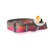 Collares 2cm Rayados para Perros Medianos + IDENTIFICACIÓN COLOR - ANIMALADAPETS ®