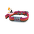Collares 2cm Rayados para Perros Medianos + IDENTIFICACIÓN