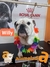 Cliente 108 - WILLY