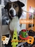 Cliente 437 - BERNARDO
