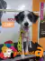 Cliente 451 - LENNY - comprar online