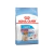 Royal Canin Medium Puppy x3kg