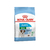Royal Canin Mini Puppy x1kg - comprar online
