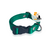 Collares Regulables 2cm para Perros Medianos - comprar online