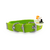 Collares 2cm Lisos para Perros Medianos - comprar online