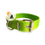 Imagen de Collares 3cm Lisos para Perros Grandes