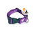Imagen de Collares Regulables 3cm para Perros Grandes