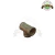 Tee de 1/2" Bronce en internet