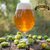 IPA Americana