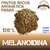Melanoidina