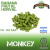 Monkey- Lúpulos Patagónicos