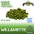 Willamette - Lúpulos Patagónicos - comprar online