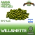 Willamette - Lúpulos Patagónicos - comprar online