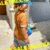Banner de TRIBU® 
