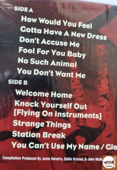 Curtis Knight & The Squires - You Can't Use My Name: The RSVP / PPX Sessions (Feat. Jimi Hendrix) - Jazz e Companhia Discos