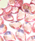Chaton Gota 18mm Pacote com 100 ref.3188 na internet