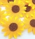 Aplique Girassol Festa Junina Pct com 10 Ref.0996