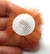 5 Pompom de Pelúcia Marrom Achatadinho 4cm para Artesanato ref.:0719 na internet